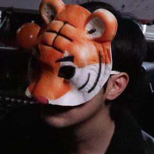 美女高清毛片视频免费观看
